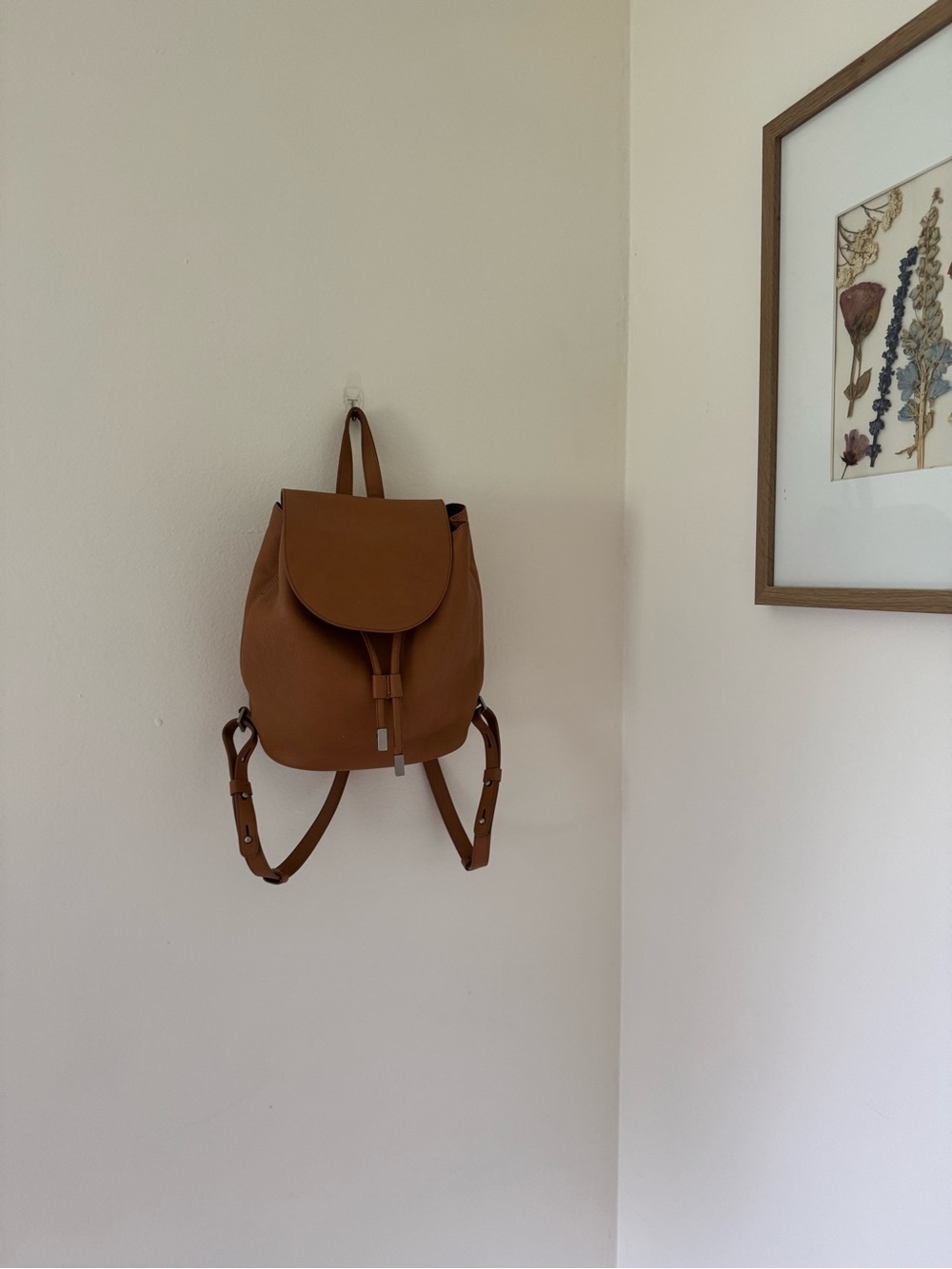 Everlane Petra Leather Drawstring Backpack